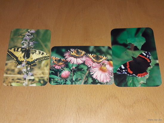 Календарики 1990 Фауна. Бабочки. 3 шт. одним лотом