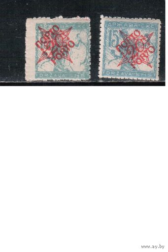 Югославия-1920(Мих.46)  ** , Стандарт, Надп. , Служебные марки, 2 типа(2)