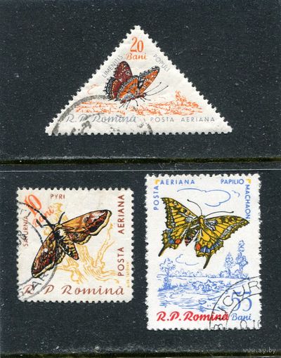 Румыния. Бабочки