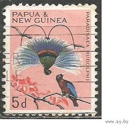Папуа Новая Гвинея. Птицы. Синяя райская птица. 1964г. Mi#64.