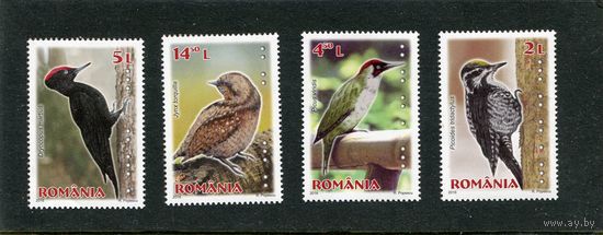 Румыния. Птицы. Дятлы