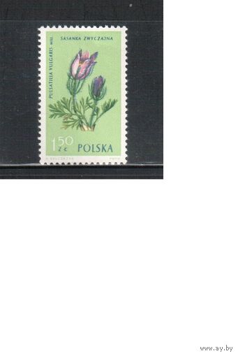 Польша-1962,(Мих.1331) ** , Флора, Цветы