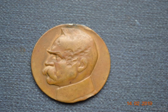 Медаль Ю.Пилсудский