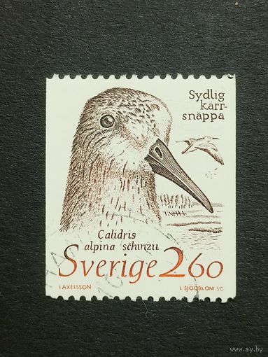 Швеция 1989. Животные в местах обитания, находящихся под угрозой исчезновения