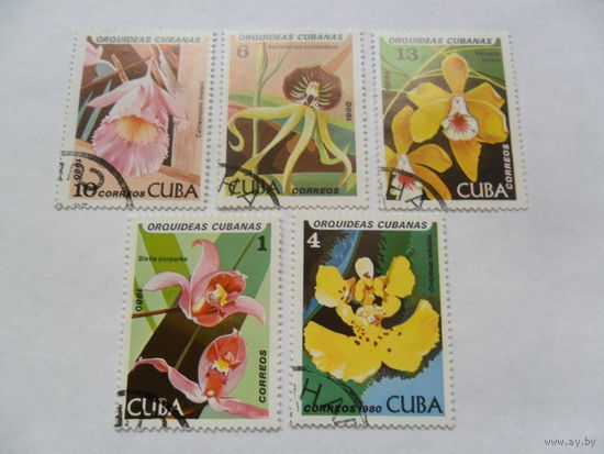 Куба, орхидеи