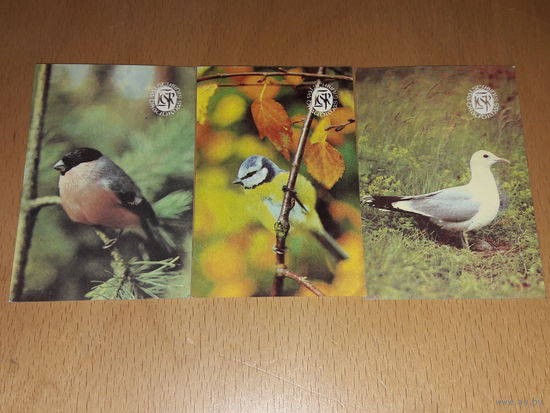 Календарики 1990 Литва. Фауна. Птицы. 3 шт. одним лотом