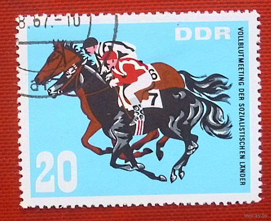 ГДР. Конный спорт. ( 1 марка ) 1967 года. 3-12.