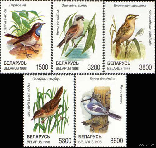 Птицы  Беларусь 1998 год (273-277) серия из 5 марок