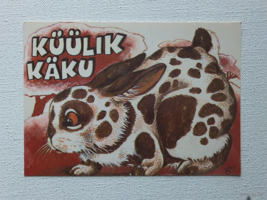 Ярви кролик 1982   10х15  см