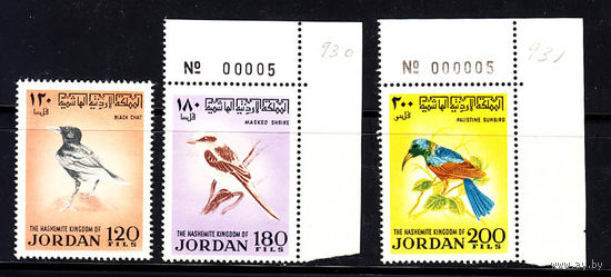 Фауна. Птицы. Иордания. 1970. 3 марки. Полная серия. Michel N 790-792. (50,0 е)