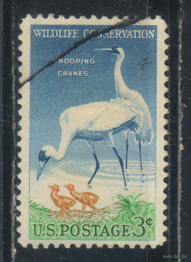 США 1957 Охрана природы Стерх  #721