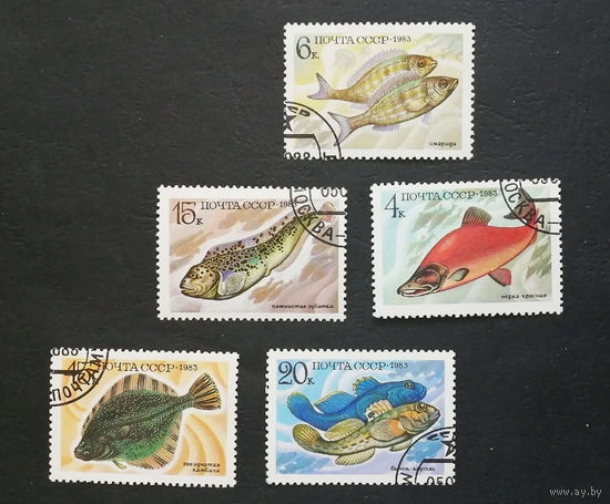 СССР 1983 г. Промысловые рыбы. Морская фауна, полная серия из 5 марок #0119-Ф2P15