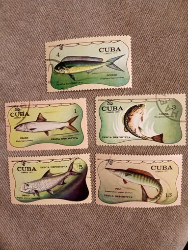 Куба 1971. Хищные рыбы