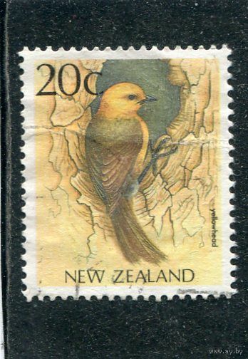 Новая Зеландия. Птицы