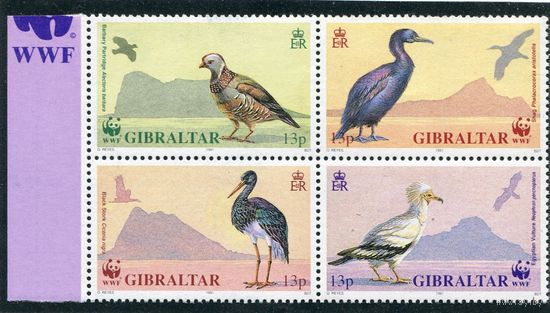 Гибралтар. Охрана природы, птицы, квартблок