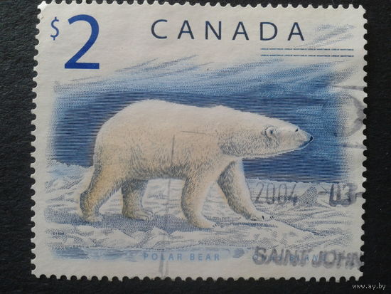 Канада 1998 белый медведь