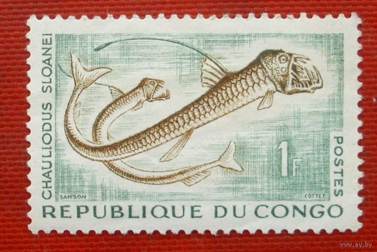 Конго. Фауна. ( 1 марка ) 1961 года. 6-11.