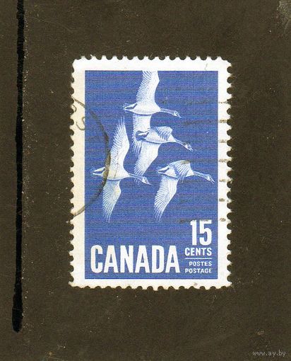 Канада. Ми-357. Канадские гуси. 1963