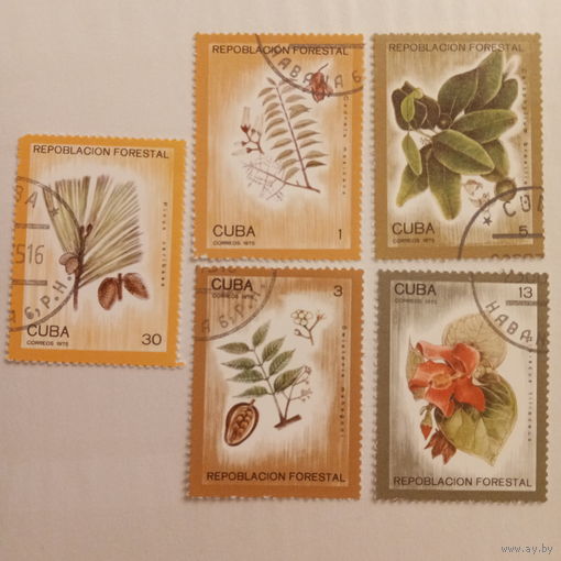 Куба 1975. Флора лесов Кубы
