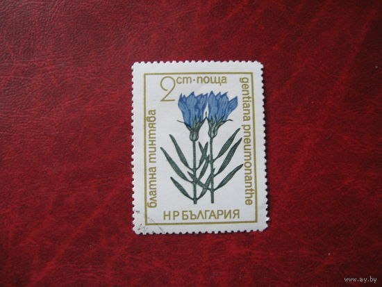 Марка Цветы Болгария 1972 год