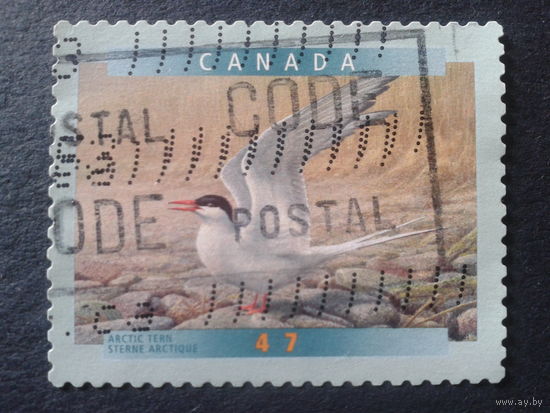 Канада 2001 птица