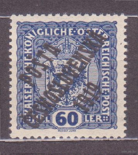 Чехословакия 1919 надпечатка на австрийских марках** //3