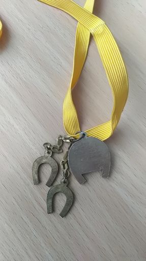 Медаль за  конные соревнования