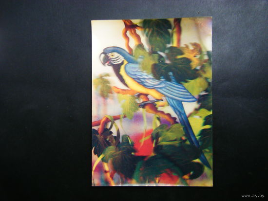 Стерео открытка 1989г. из СССР 5