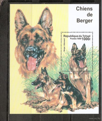 Чад 1999 Фауна. Собаки, блок