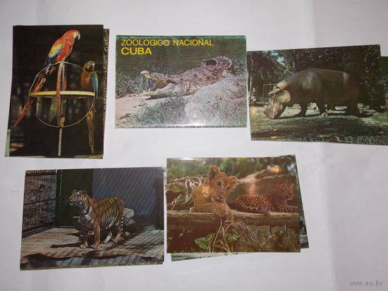 Набор открыток Национальный зоопарк Куба