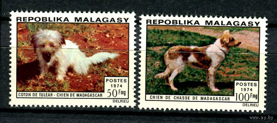 Мадагаскар - 1974г. - Собаки - полная серия, MNH [Mi 726-727] - 2 марки