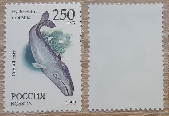 Россия 1993 Фауна мира.Серый кит