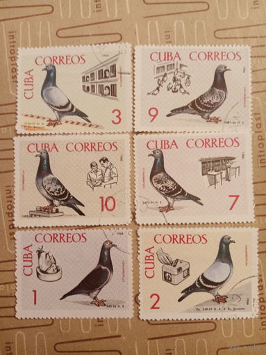 Куба 1966. Почтовые голуби
