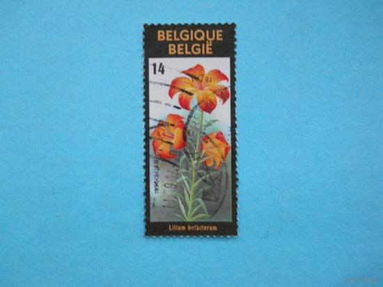 Бельгия 1990 г. Мi-2415. Лилии.