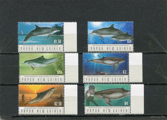 Папуа Новая Гвинея. Морская фауна. Дельфины