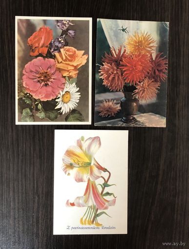 Открытки Цветы 1958-1959 год Цена за все
