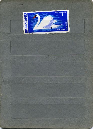 Болгария, 1976,  ФАУНА, лебедь, 1м