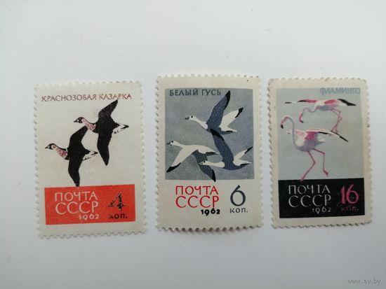 1962 СССР. Птицы