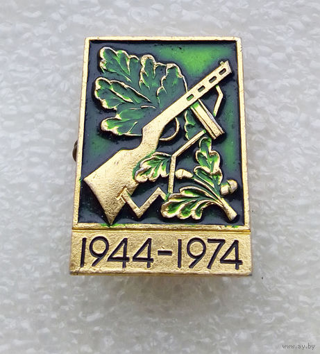30 лет Освобождения Белоруссии 1944-1974 г.г. ВОВ 1941-1945 г.г. #0197-WP4