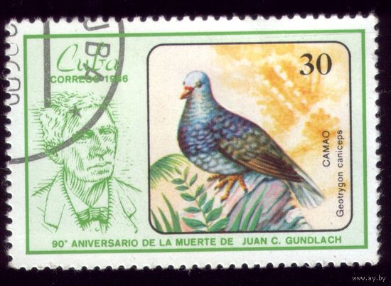 1 марка 1986 год Куба Птичка 3000