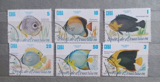 Куба.1985г. Фауна. Рыбы.