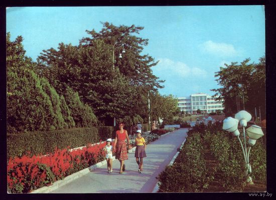 1981 год Анапа Центральная аллея парка Победы