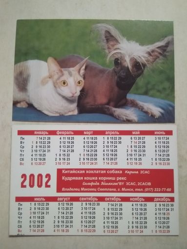 Карманный календарик . Котик и собака. 2002 год