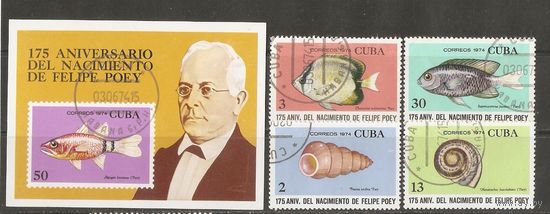 Куба 1974 Морская фауна