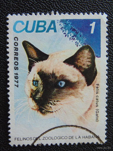 Куба 1977 г. Фауна.