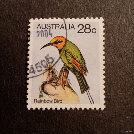 Австралия 2004. Фауна. Rainbow bird