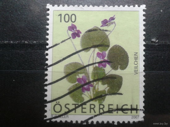Австрия 2007 Стандарт, цветы 100с Михель-2,0 евро гаш