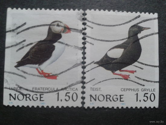 Норвегия 1981 птицы