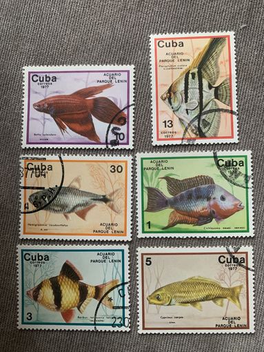 Куба 1977. Аквариумные рыбки