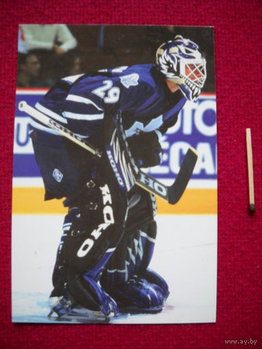 Карточка НХЛ "NHl" Felix Potvin. Toronto Maple Leafs. Panini.